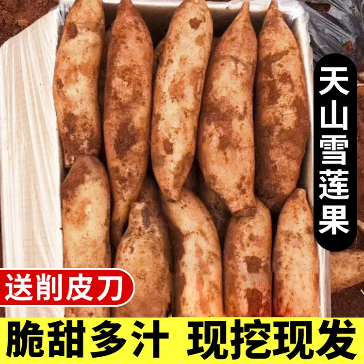 云南天山雪莲果新鲜现挖高原水果红心黄心3/5/9斤应当季整箱包邮