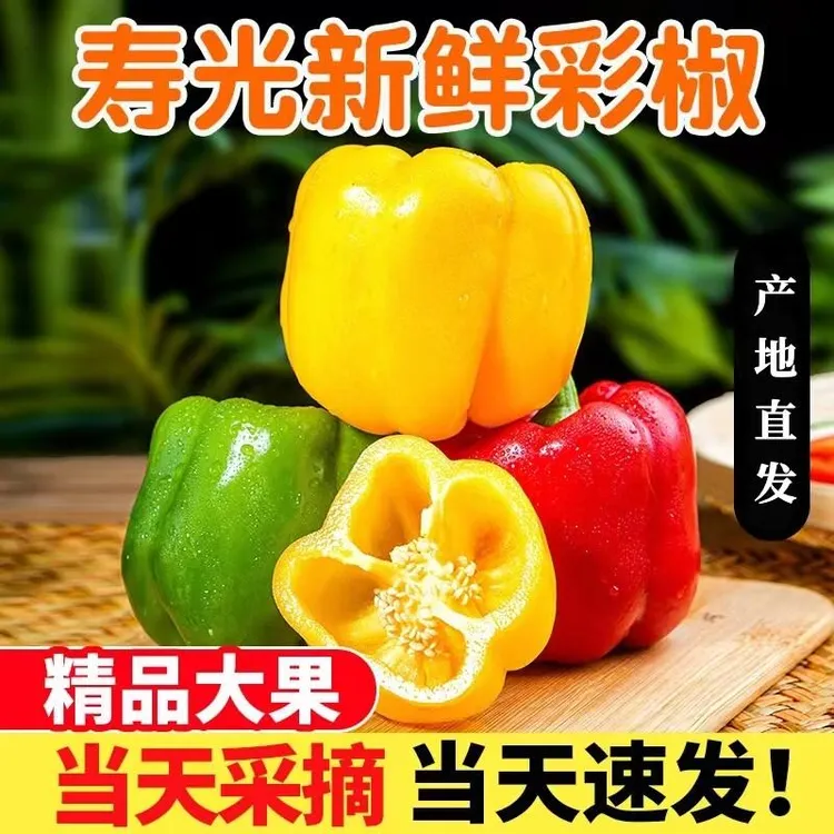 【顺丰/京东包邮水果彩椒】山东现摘红五彩水果椒（注：清甜）新鲜生吃