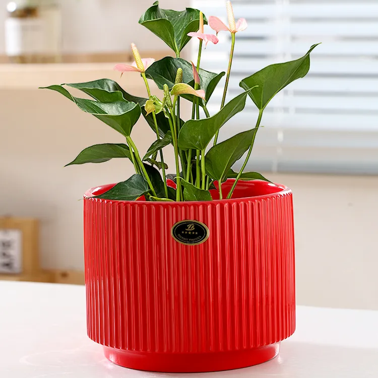 陶瓷花盆清仓捡漏喜庆中国红特大号蝴蝶兰绿萝家用室内多肉小花盆