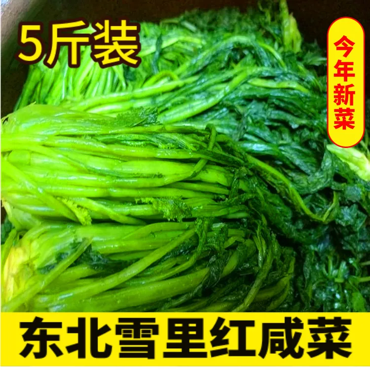 【今年新菜雪里红】东北特产新鲜腌制雪里红雪里蕻下饭原味餐饮脆嫩