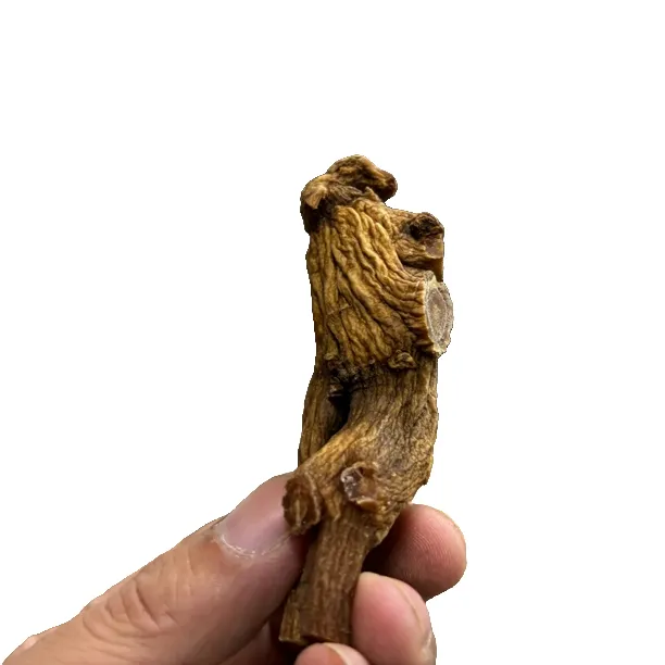 正宗原条吉林长白山特产红参麦冬黄芪花旗参党参汤料 送礼高丽参