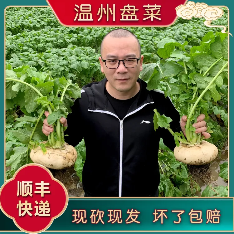 5斤温州新鲜盘菜扁萝卜扁菜头盘菜【顺丰快递】