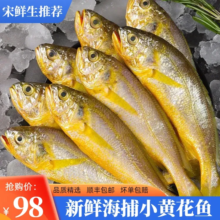 【顺丰包邮】新鲜海捕小黄花鱼 急冻鲜嫩小黄花鱼
