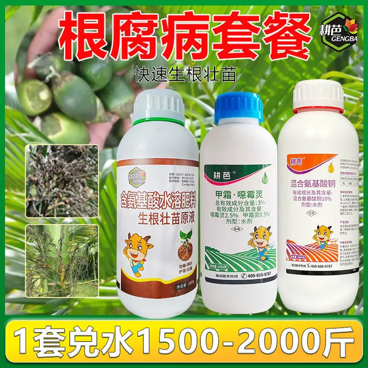 槟榔树灌根药一整套促生根枯萎病脚腐根腐烂根黄化冲施喷施杀菌剂
