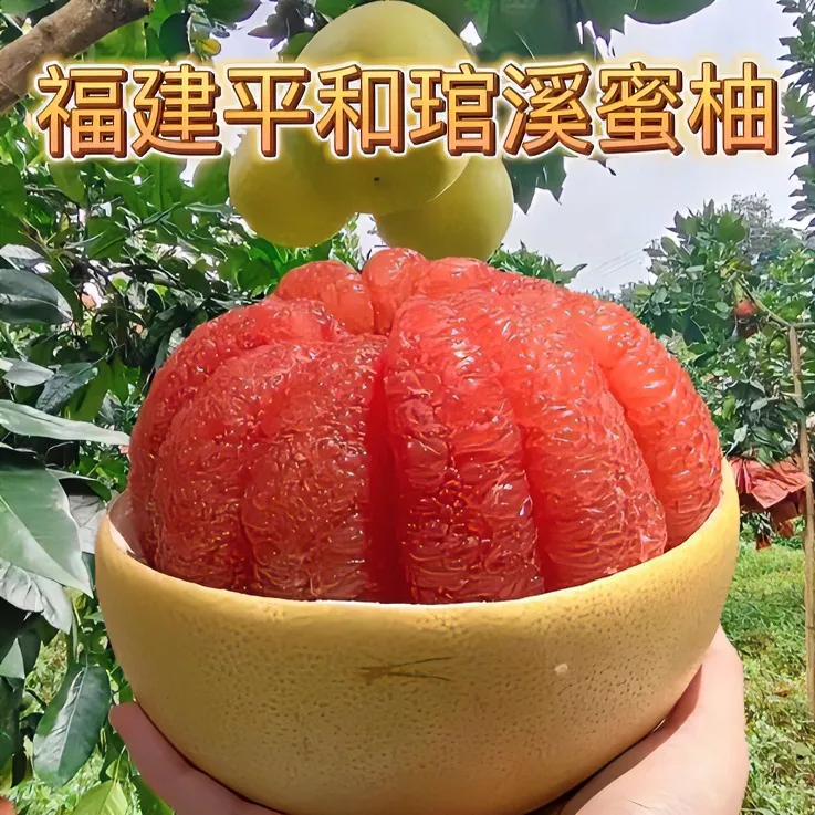 正宗福建平和产地琯溪蜜柚红心三红蜜柚酸甜多汁天然美味