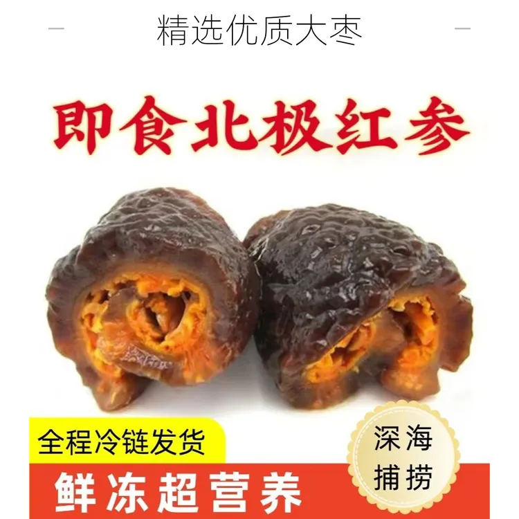 野生新鲜家庭装国标北极红参红极参纯野生海参非辽大连即食海参