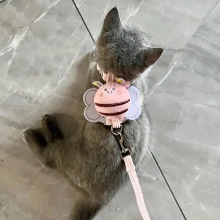 小蜜蜂款式猫咪兔子防挣脱外出遛弯胸背牵引绳