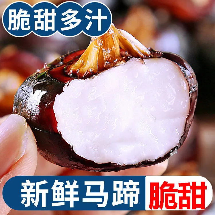 正宗新鲜马蹄荸荠地梨孕妇水果农家地栗荸荠地栗马蹄子新鲜
