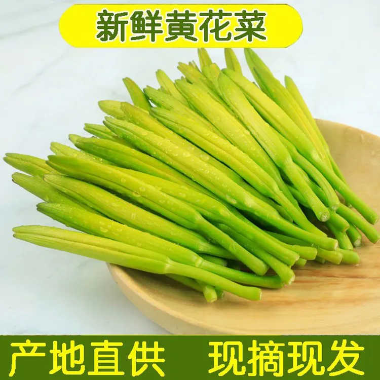 新鲜黄花菜现摘即发中国大陆产时令野菜金针菜农家蔬菜