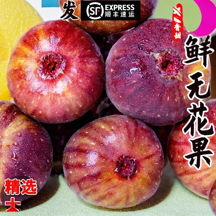 顺丰包邮无花果新鲜孕妇水果应季特大果红皮无花果鲜果天然树上