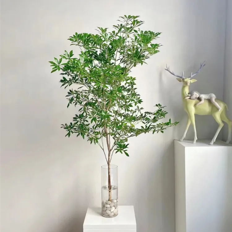 【花漫时光】Y1 进口马醉木一物一拍轻奢水培鲜切绿植室内客厅吊钟