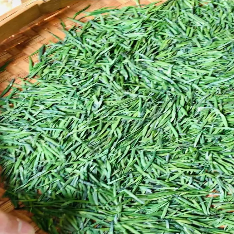 雀舌绿茶高山嫩芽明前新茶清香型茶叶