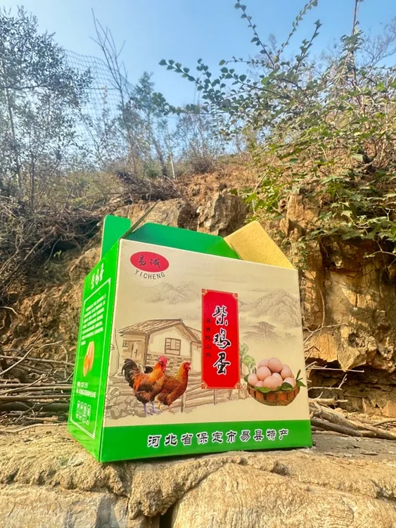保证易县狼牙山山脉纯粮散养柴鸡蛋。