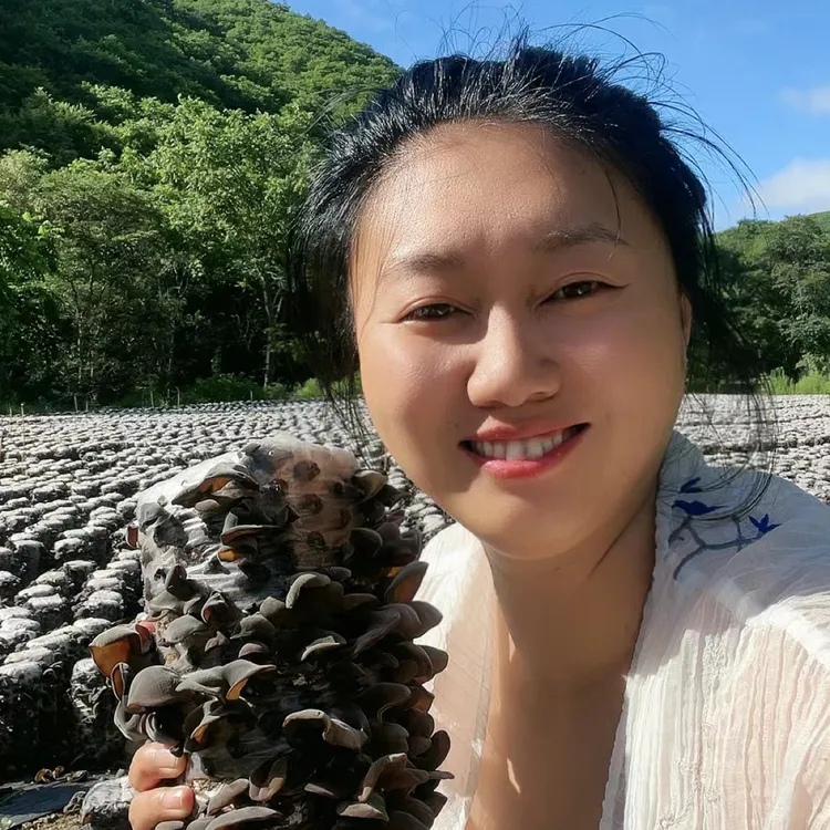 2025年头茬木耳东宁黑木耳袋装包邮深山优质晾晒