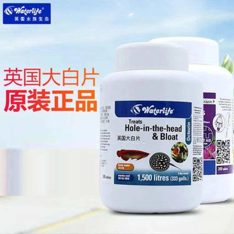 养宠装备（英国正版原装大白片）内寄外寄锦鲤龙鱼热带鱼蝴蝶鲤鱼