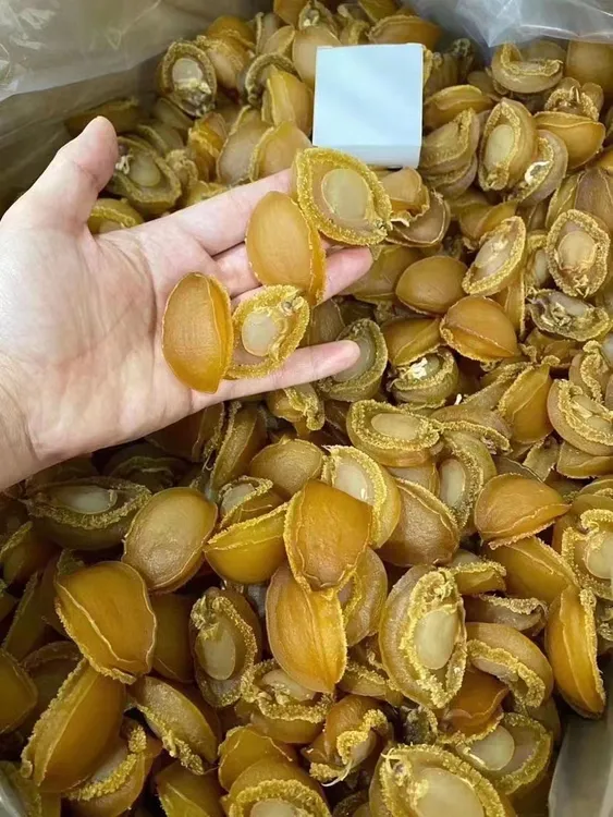 【专属】精选黄金鲍鱼干