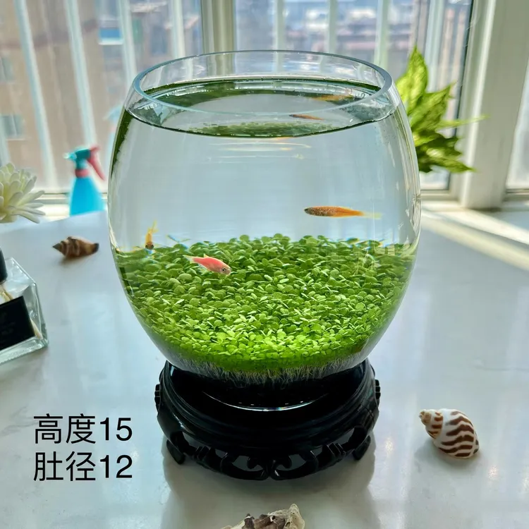生态水草缸1215水草鱼缸桌面微景观水培绿植造景鱼虾水草自循环