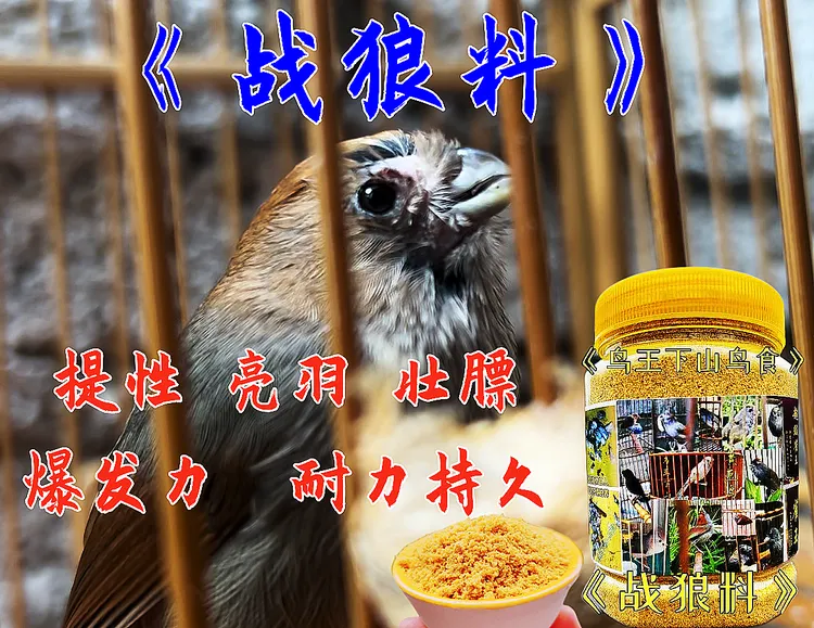 黄豆鸟食《战狼料》提性收身长腰亮羽打斗原色原味原生态