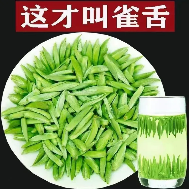 特级雀舌2025新茶正宗贵州浓香型毛尖湄潭翠芽绿茶高山嫩芽茶礼盒