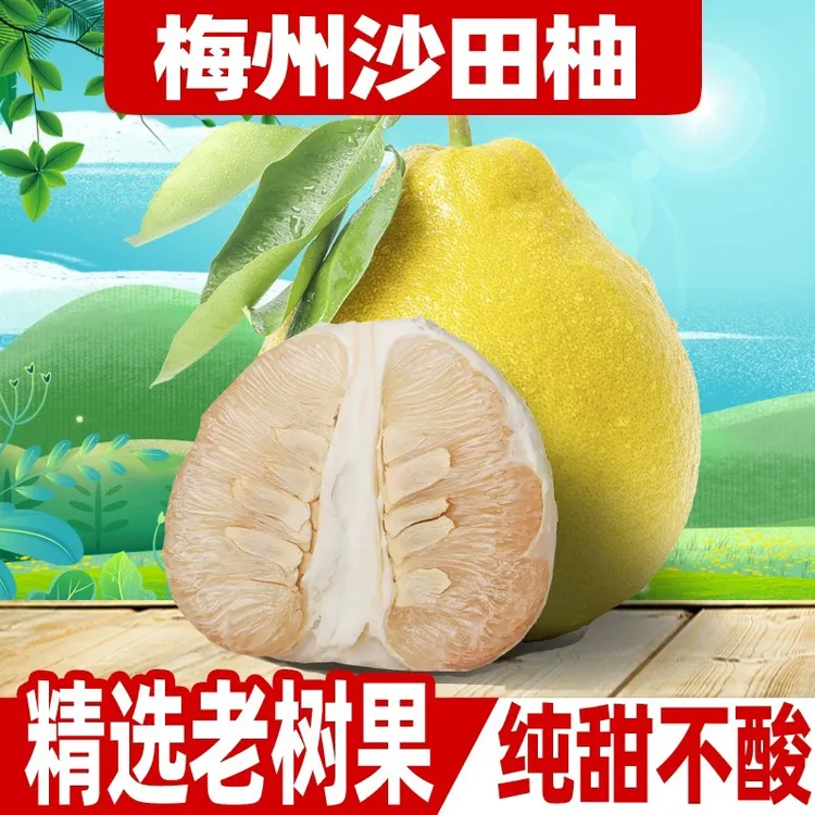 【纯甜】正宗梅州沙田柚新鲜当季水果梅县金柚子孕妇水果20斤