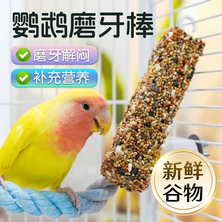 【磨牙健齿 训练互动】虎皮玄凤鹦鹉专用谷物磨牙棒训练奖励鸟粮DD