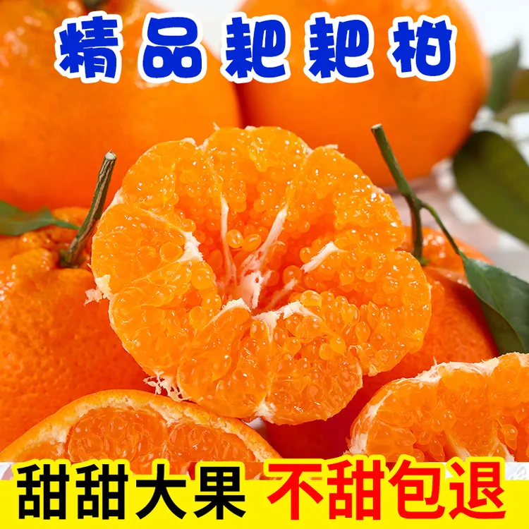 正宗四川春见丑橘耙耙柑橘健康纯甜多汁孕妈妈水果新鲜现摘3-5斤