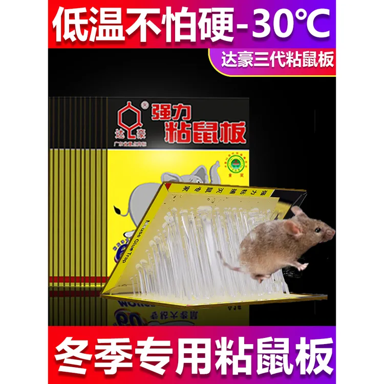 冬季专用粘鼠板达豪老鼠贴强力胶水粘鼠板捕抓捉粘胶灭大耗子老鼠