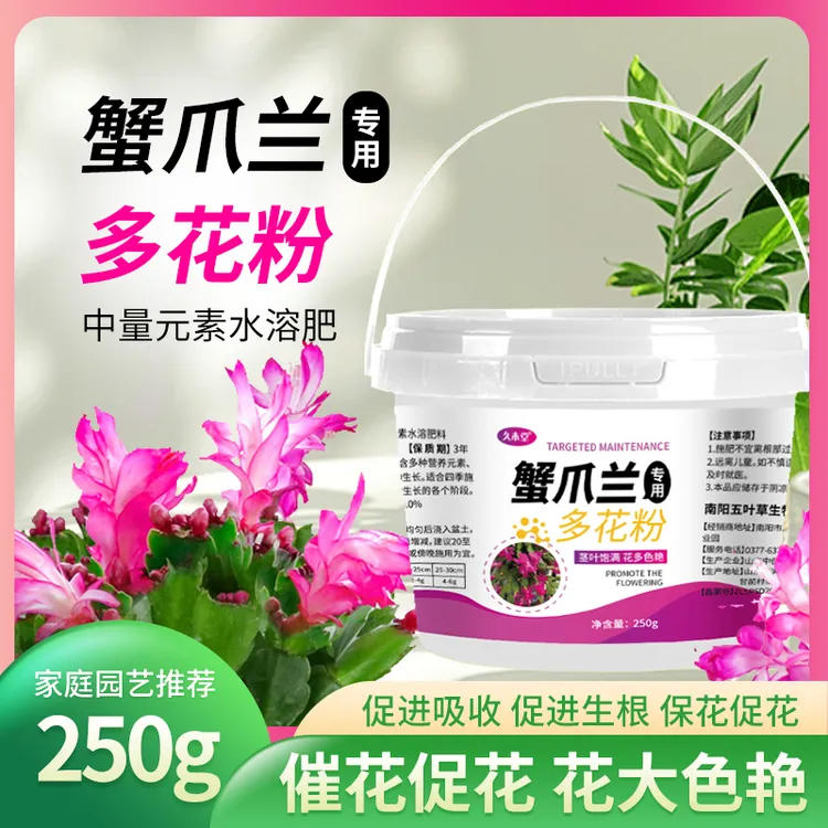 【拍二发三】蟹爪兰专用开花粉叶子变软枯萎倒伏发黄根部腐烂促开花