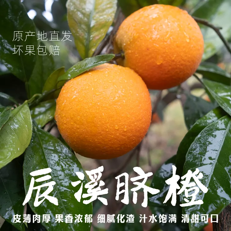 辰溪脐橙/汁水饱满清甜细腻/橙心橙意产地新鲜现摘净重4.5～9斤