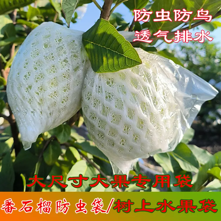 防虫袋芭乐番石榴套袋全新加厚泡沫大号耐用发货专用网套保护袋