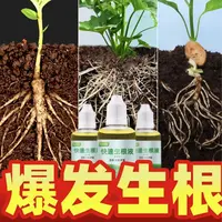生根液移栽扦插生根物通用壮苗生根剂营养液植物