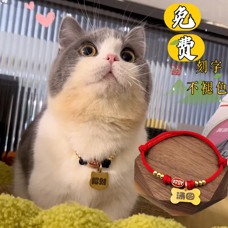 宠物项圈猫咪狗定制防走丢名牌项链大型犬可调节刻字防丢脖圈挂件