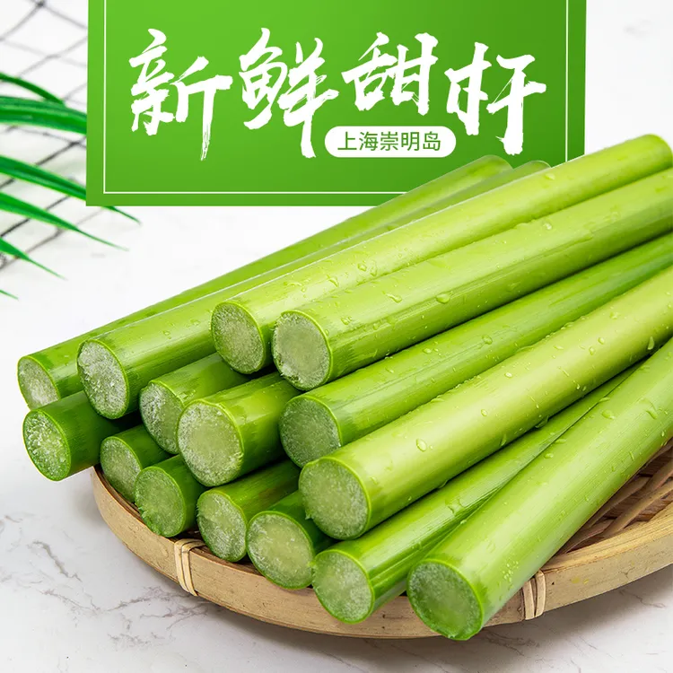 顺丰特快崇明新鲜甜芦粟甜杆甜高粱杆小甘蔗5斤