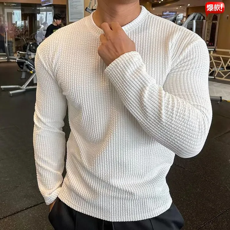 新款秋冬肌肉潮流绞花编织运动Tt恤修身男抗皱上衣跑步训练打长袖