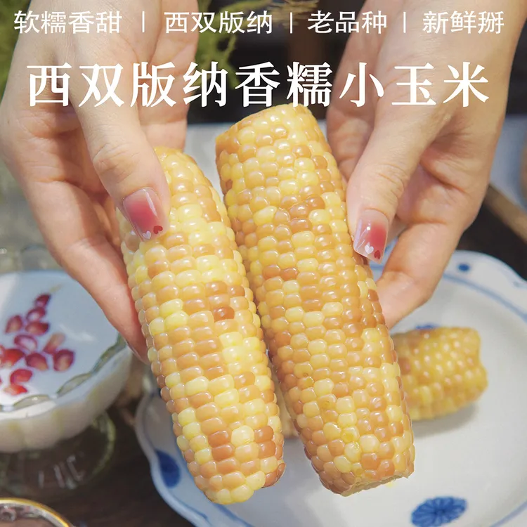 糯玉米香糯小玉米云南西双版纳花糥玉米小玉米特产非东北玉米2斤