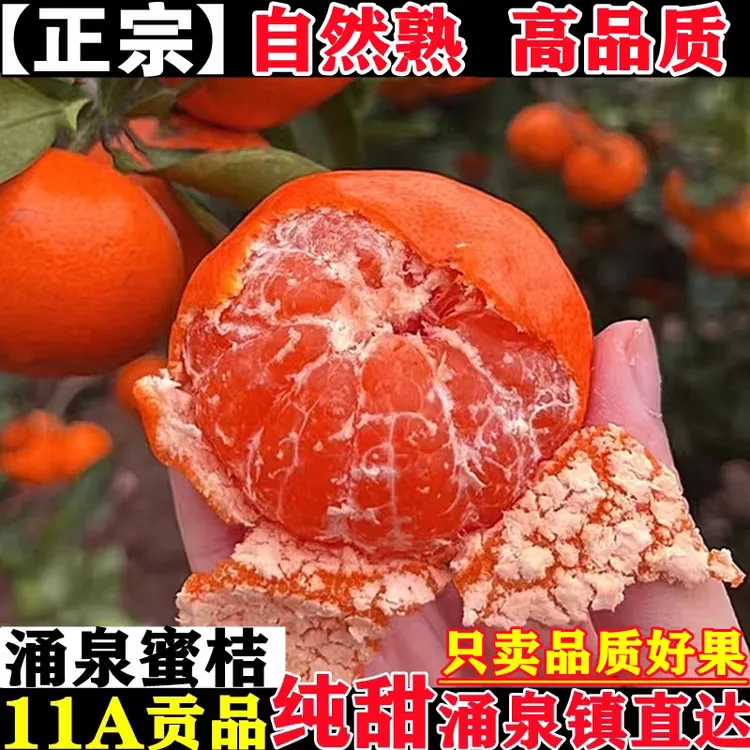 正宗临海涌泉蜜桔新鲜水果橘子10斤当季整箱