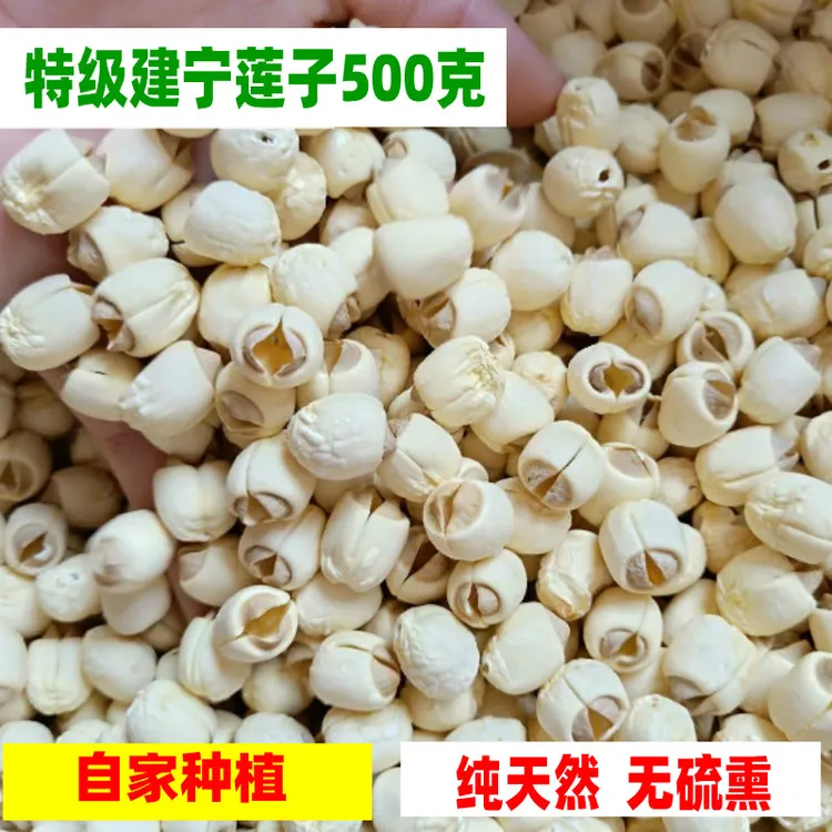 今年新货福建建宁莲子去皮莲子去芯农家自产白莲子干货500g取芯