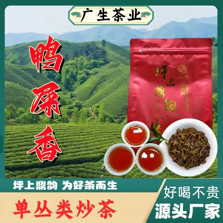 坪上炒茶2025年高山鸭屎香海拔900米花香显奶香韵醇厚