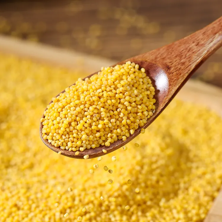 【新米】正宗米脂油小米香小米袋装五谷杂粮米油丰厚营养月子米