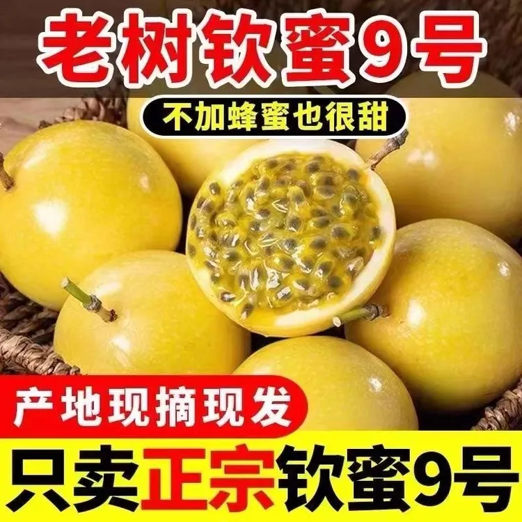 【精品】纯甜无酸钦蜜9号百香果5斤3/5斤