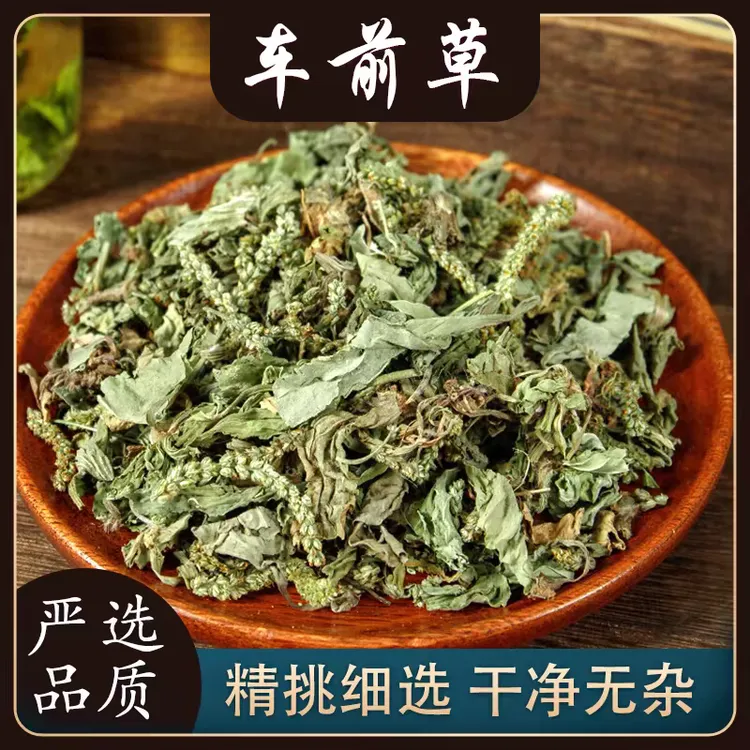 车前草正品道地精选无硫野生车前草滋补养生搭配枸杞泡水泡茶喝