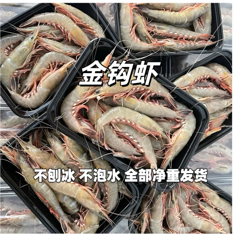 吕四渔港金钩虾/条虾/滑皮虾/青壳虾 