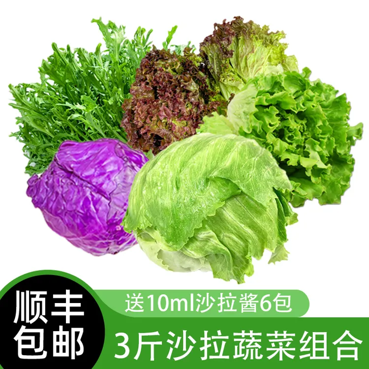 忞鲲沙拉蔬菜3斤新鲜色拉菜套餐生吃混合食材健身轻食食材5种生菜