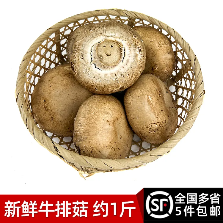 新鲜牛排菇约500g 新鲜菌菇  波多黎各菌 煲汤 顺丰