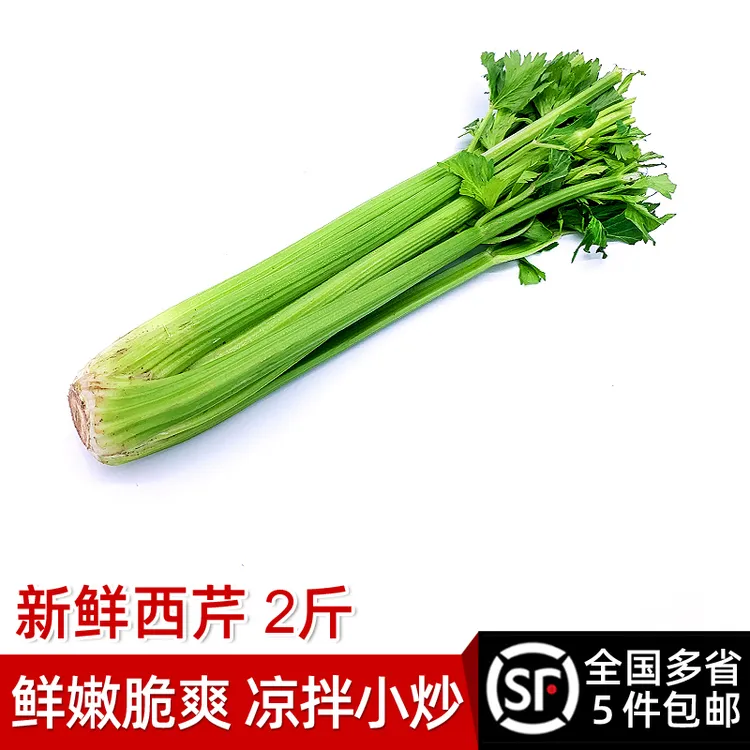 新鲜西芹2斤清爽脆嫩绿色蔬菜大芹菜洋芹菜