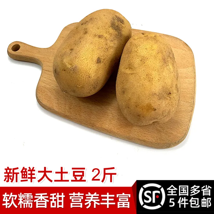 新鲜大土豆2斤左右洋芋薄皮粉面黄心农家马铃薯 辅食食材