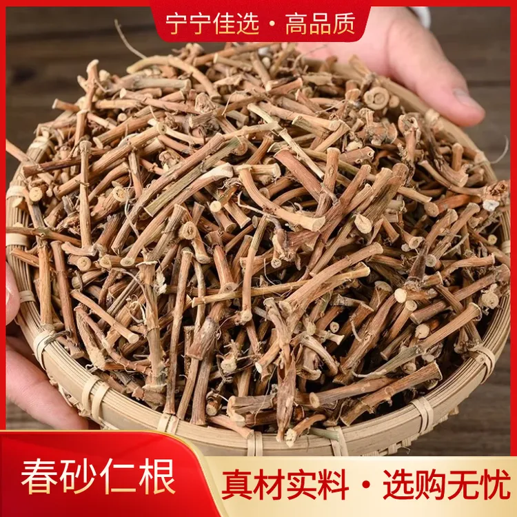 春砂仁根正宗阳春特产晒干砂仁根广东煲汤煮水新鲜干货农家自晒