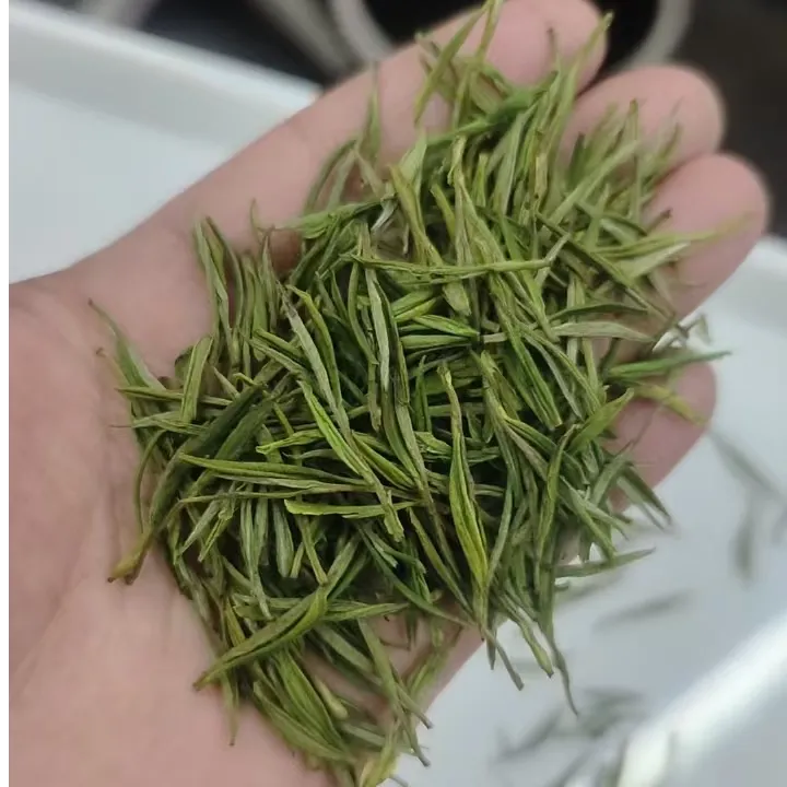 2025年安吉白茶新茶开元头采兰花香125g/250g/500g