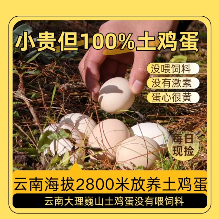 正宗土鸡蛋云南大理巍山高海拔农家土鸡蛋散养笨鸡蛋柴鸡蛋黄心