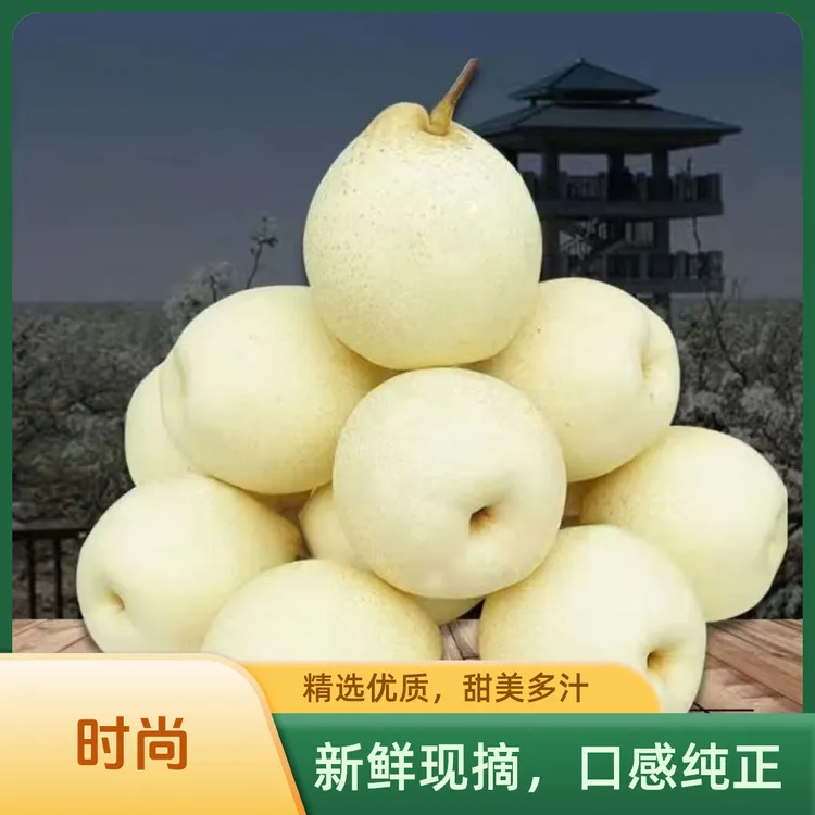河北魏县水晶鸭梨现摘现发脆甜多汁酸甜有度皮薄肉厚新鲜采摘